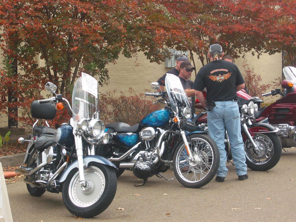 carandbike1010199_img The Town of Flora, Mississippi